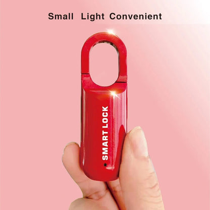 Smart Keyless Lock